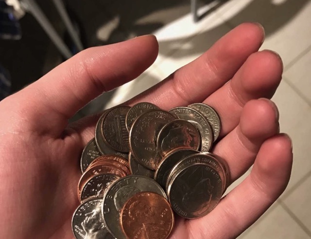 A hand holding a variety of coins